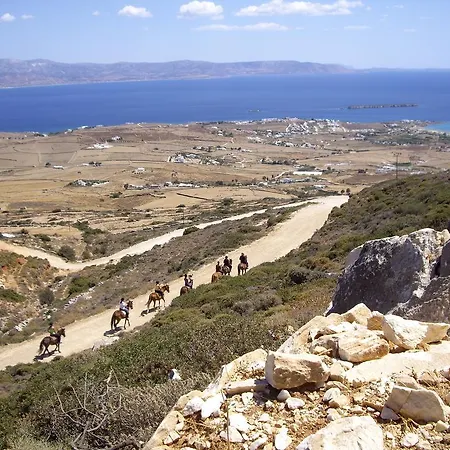 Angels - Prime Concept